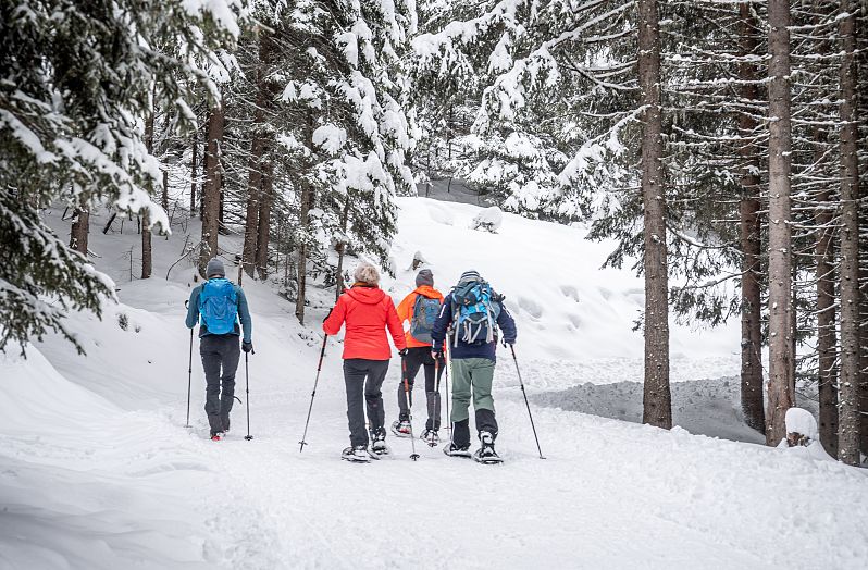 Schneeschuhwandern