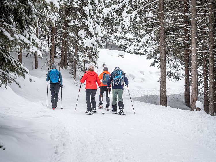 schneeschuhwandern-1