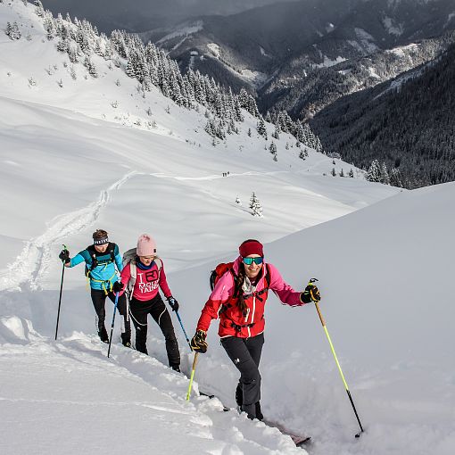 skitour-tiefschnee-gamskarkogel-2