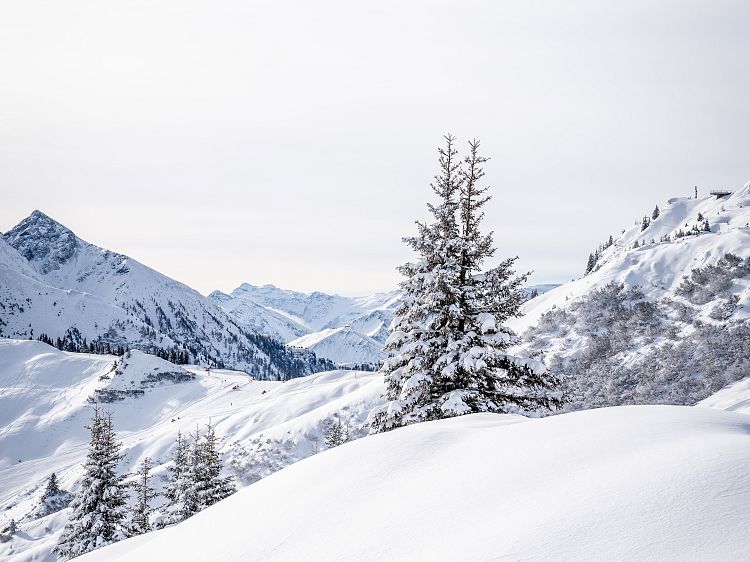 winterlandschaft-kieserl-hoch-1