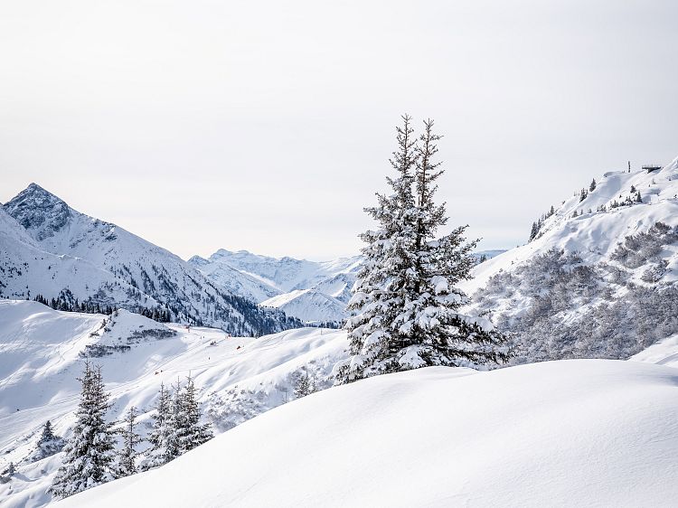 winterlandschaft-kieserl-hoch-10