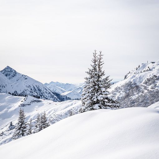 winterlandschaft-kieserl-hoch-11