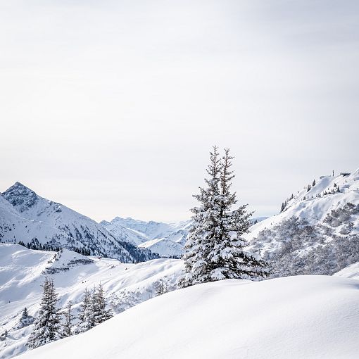 winterlandschaft-kieserl-hoch-2