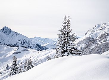 winterlandschaft-kieserl-hoch-5